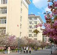 青岛黄海与重庆比分
